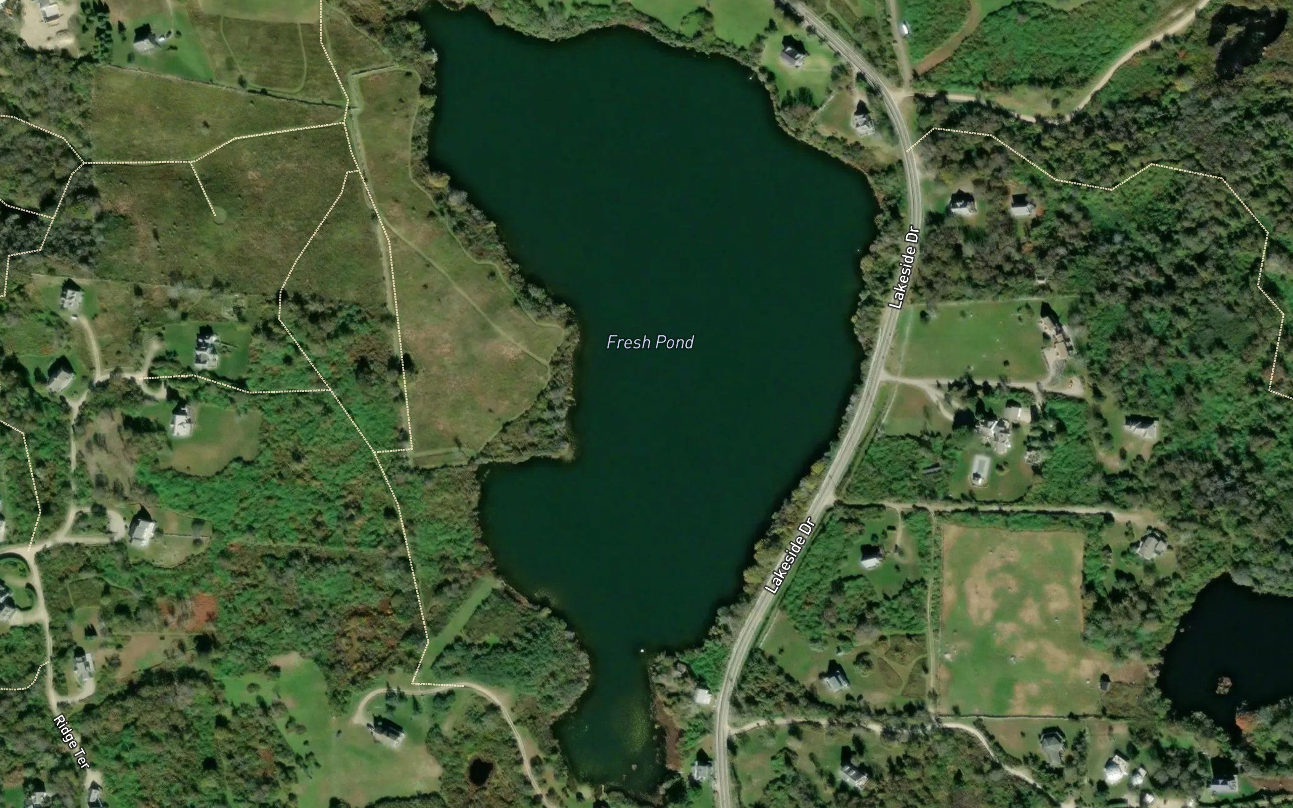 Fresh Pond