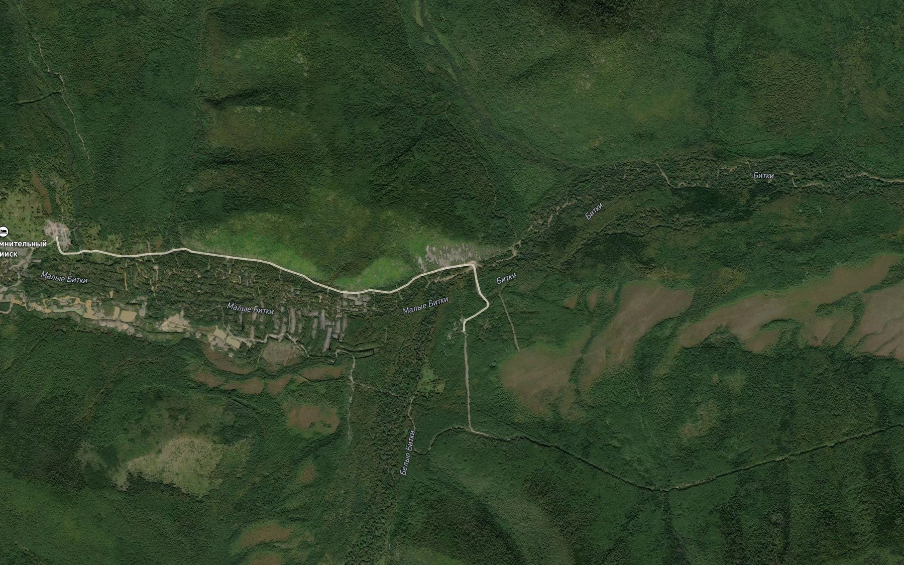 Satellite map of the Bol'shiye Bitki