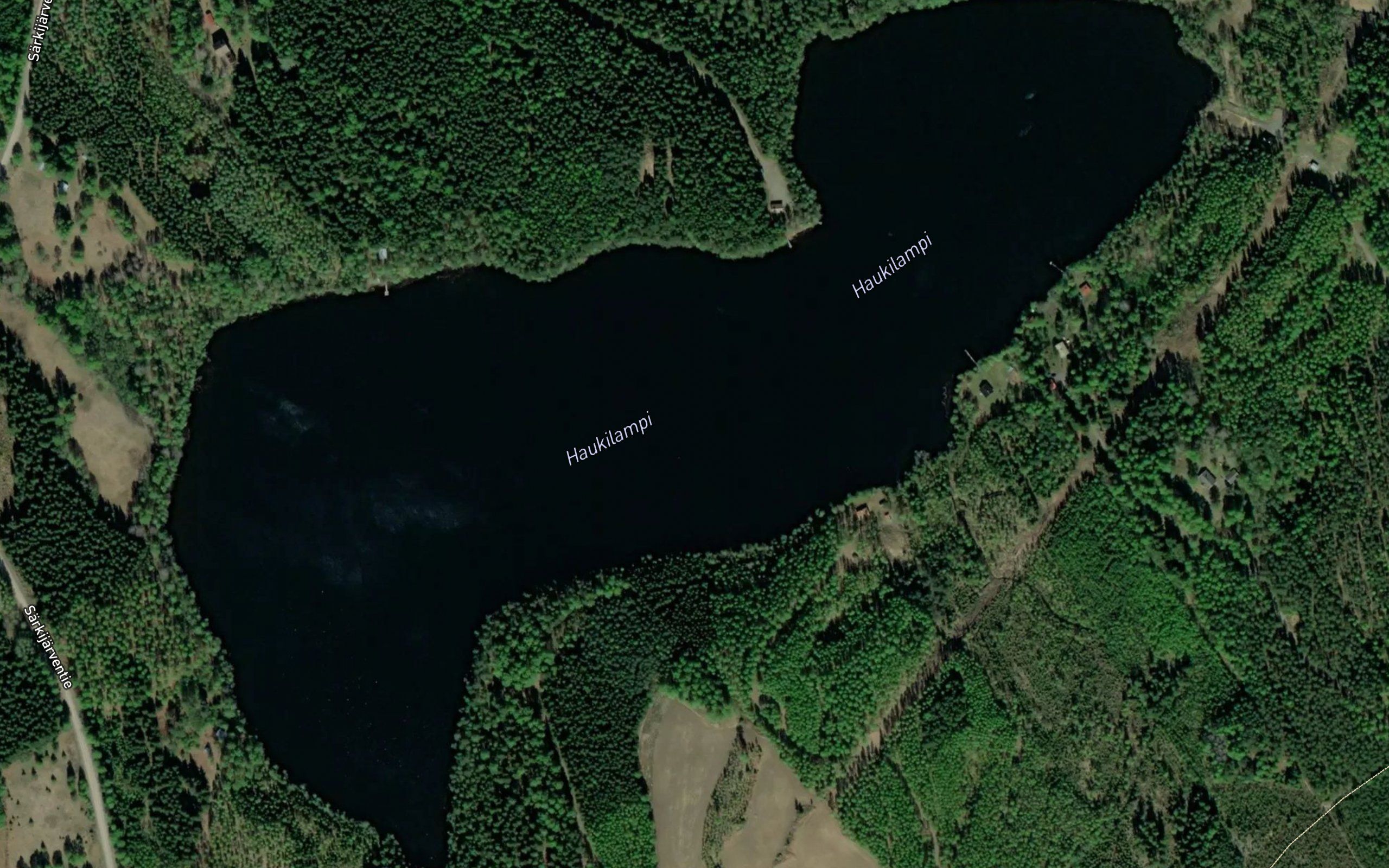Haukilampi