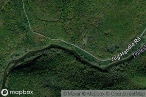 Jug Handle Run