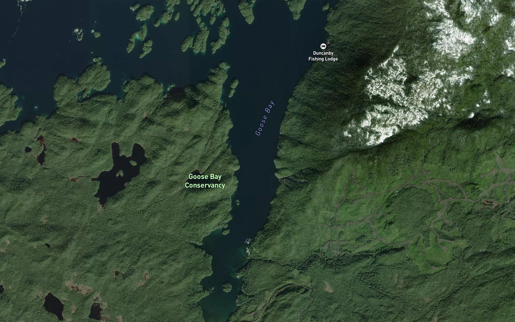 Satellite map of the Goose Bay