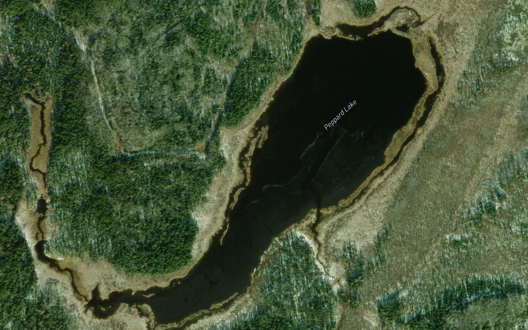 Satellite map of the Peppard Lake