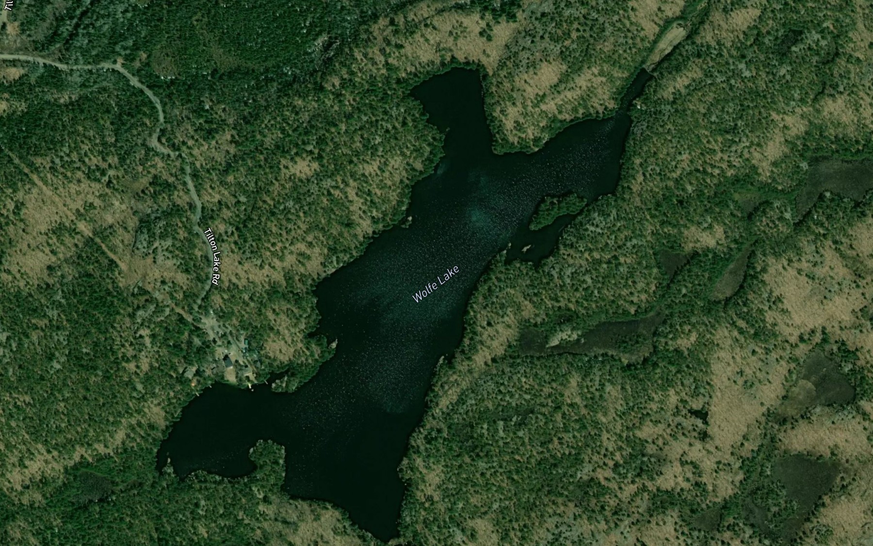 Satellite map of the Wolfe Lake
