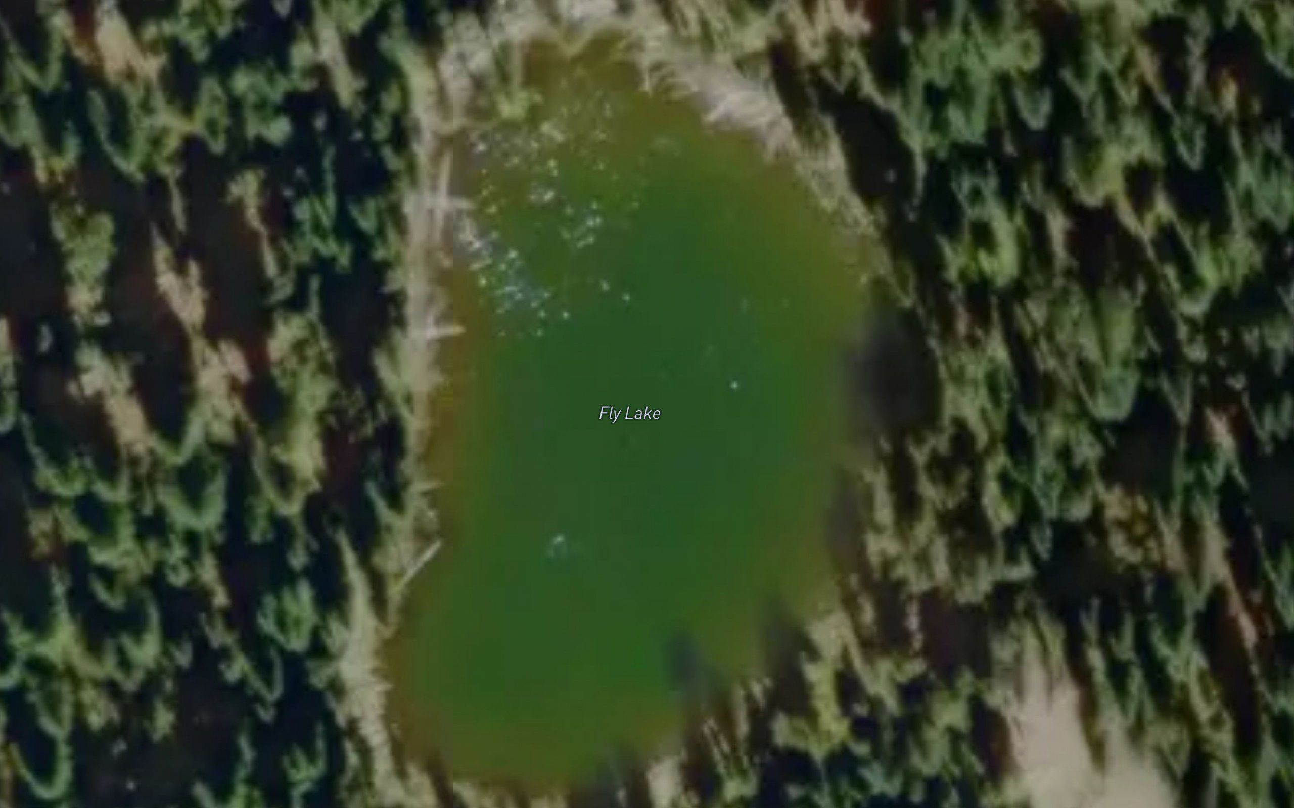 Fly Lake