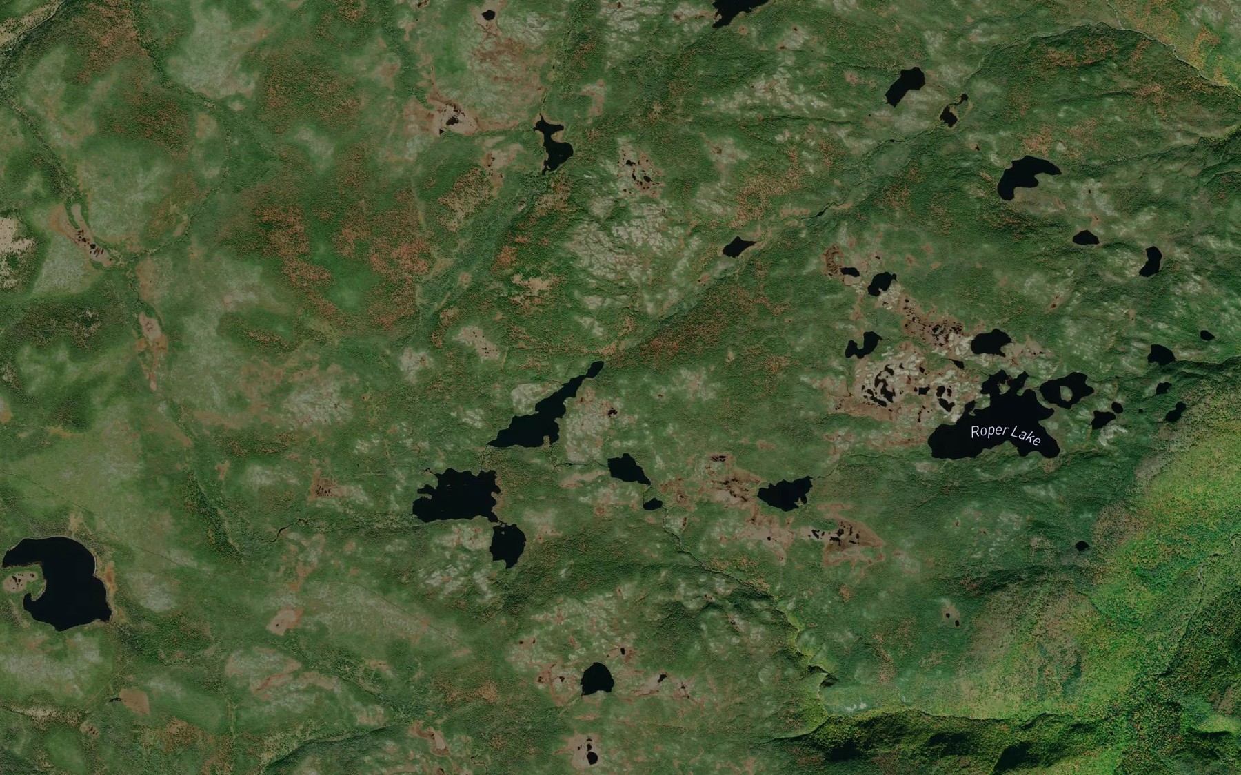 Satellite map of the Dundas Lakes