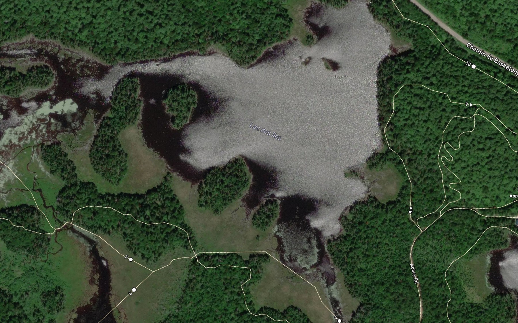 Satellite map of the Lac des Iles