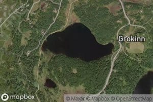 Grokinntjedn