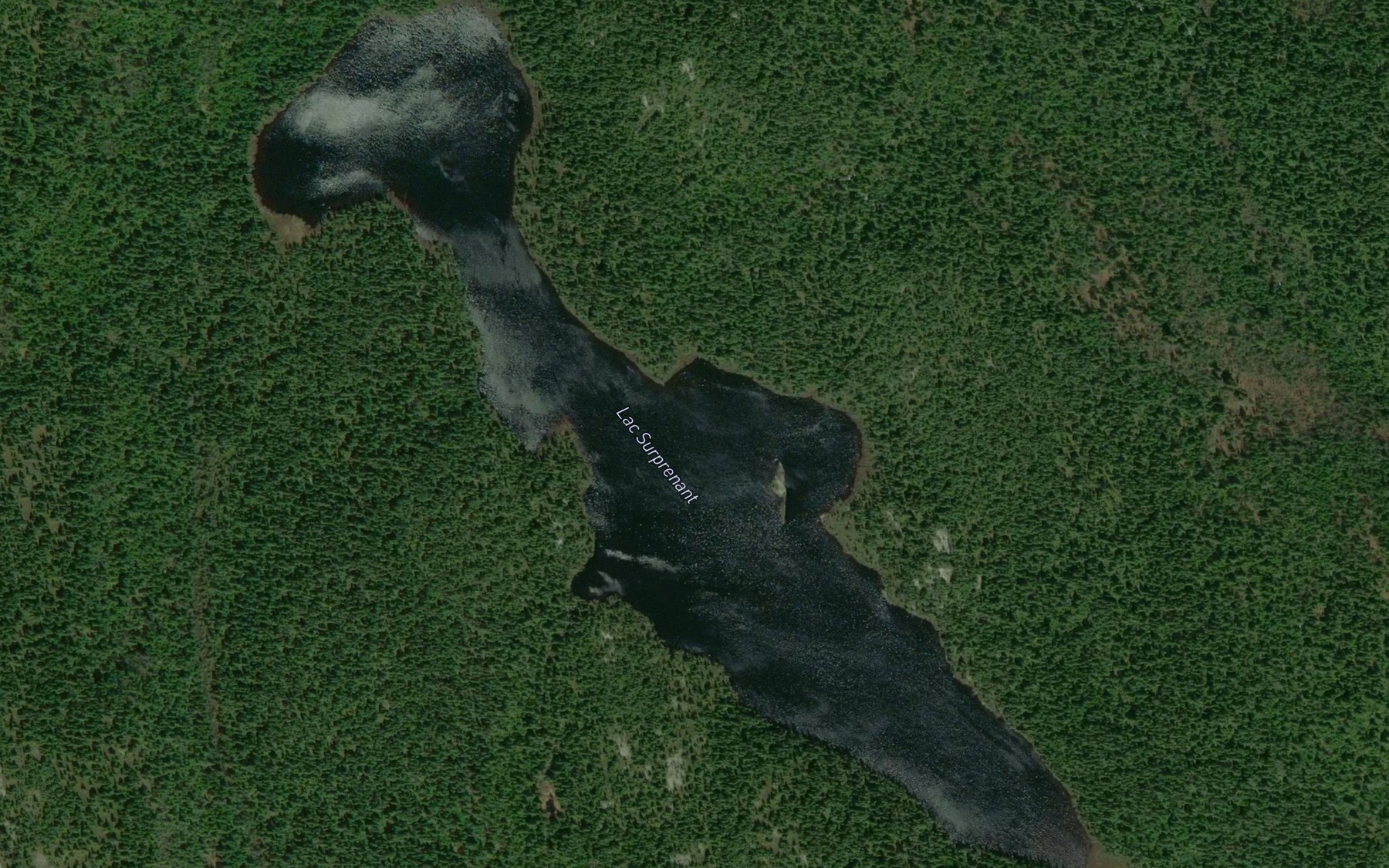 Satellite map of the Lac Surprenant