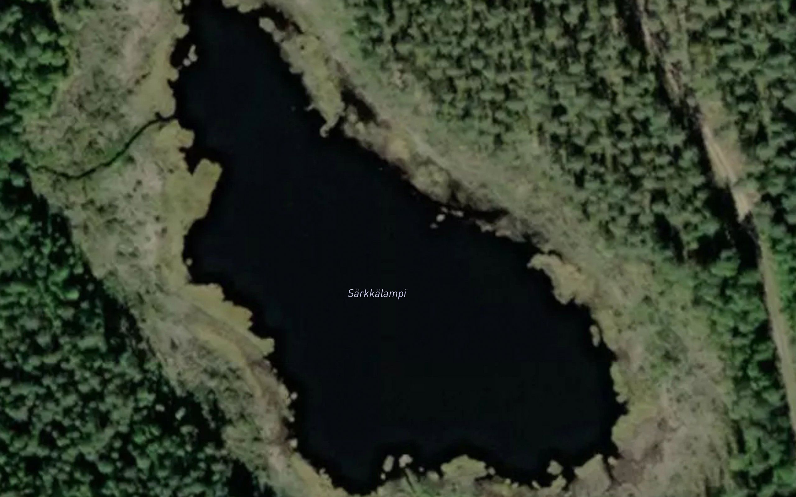 Sarkilampi
