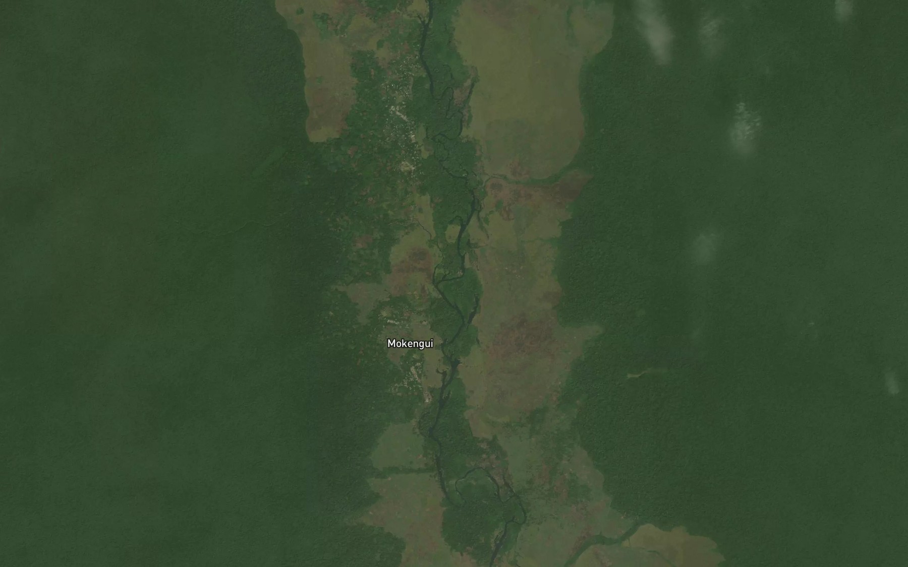 Satellite map of the Moudongouma