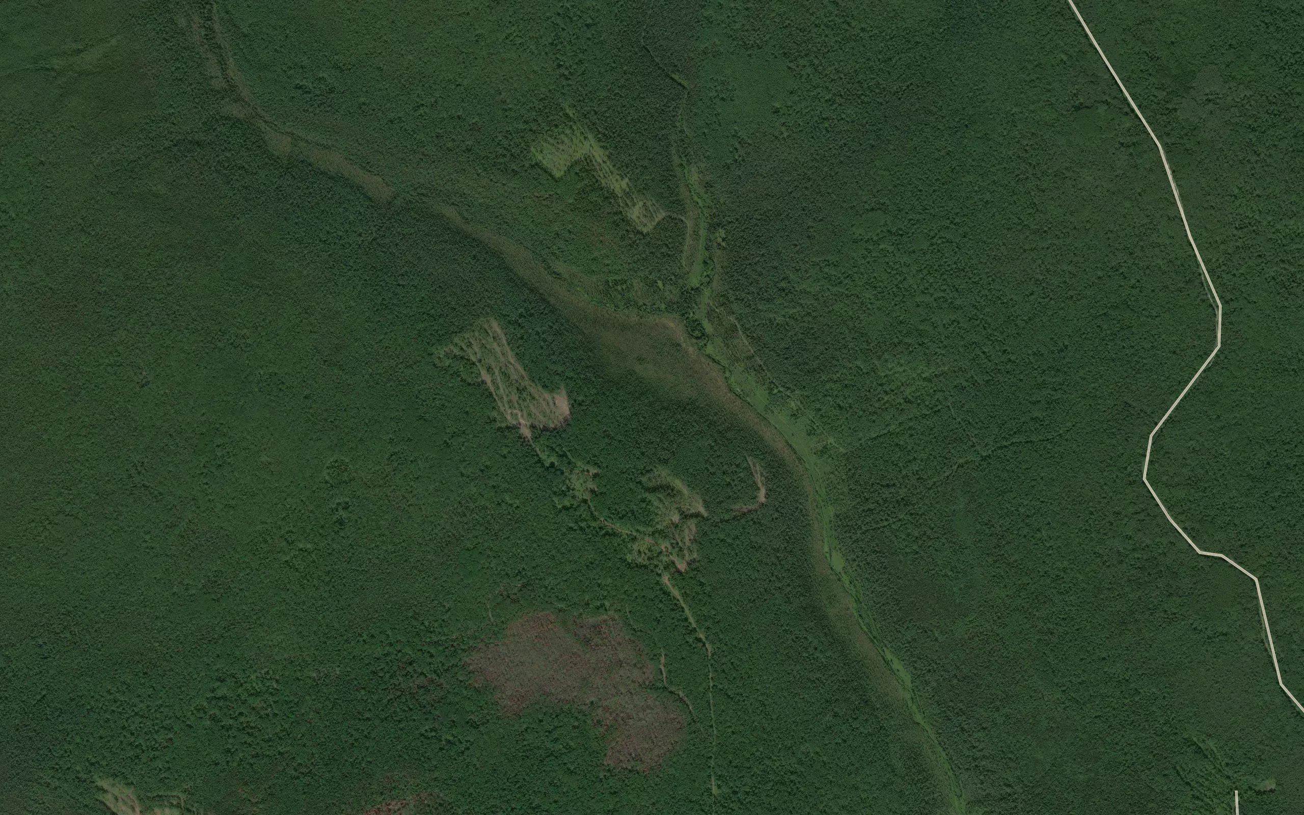 Kutskaya