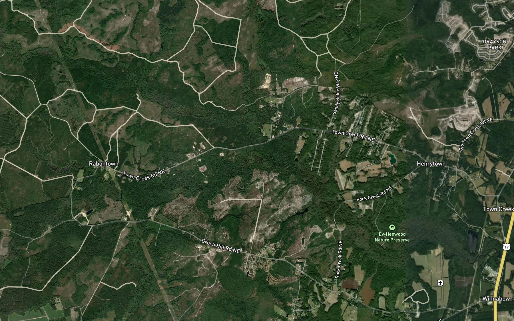 Satellite map of the Lewis Swamp