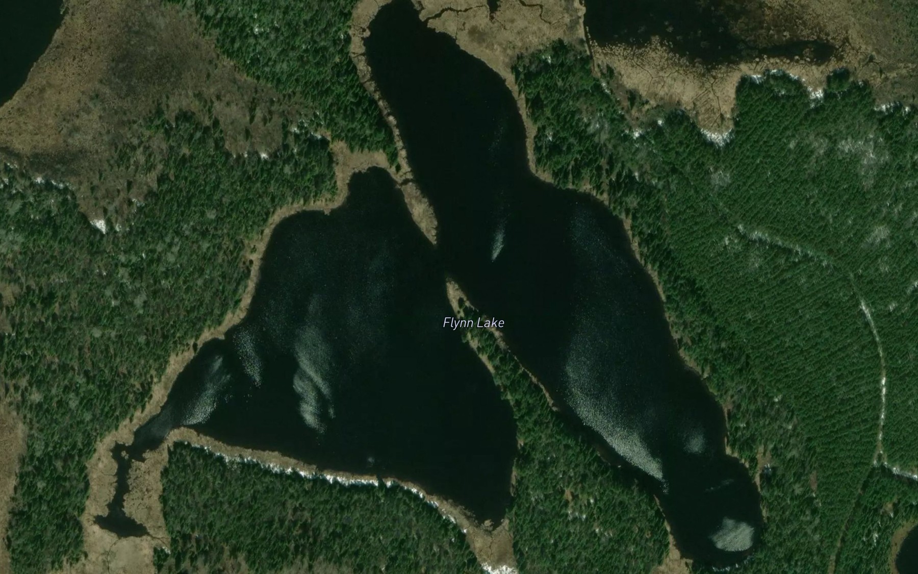 Satellite map of the Flynn Lake
