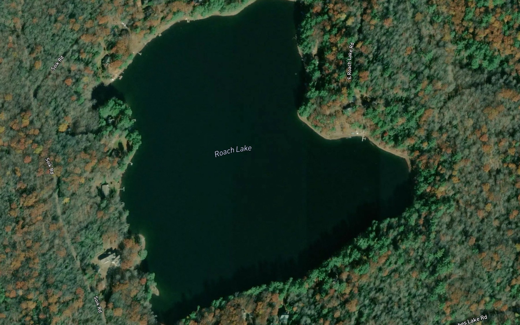 Satellite map of the Roach Lake