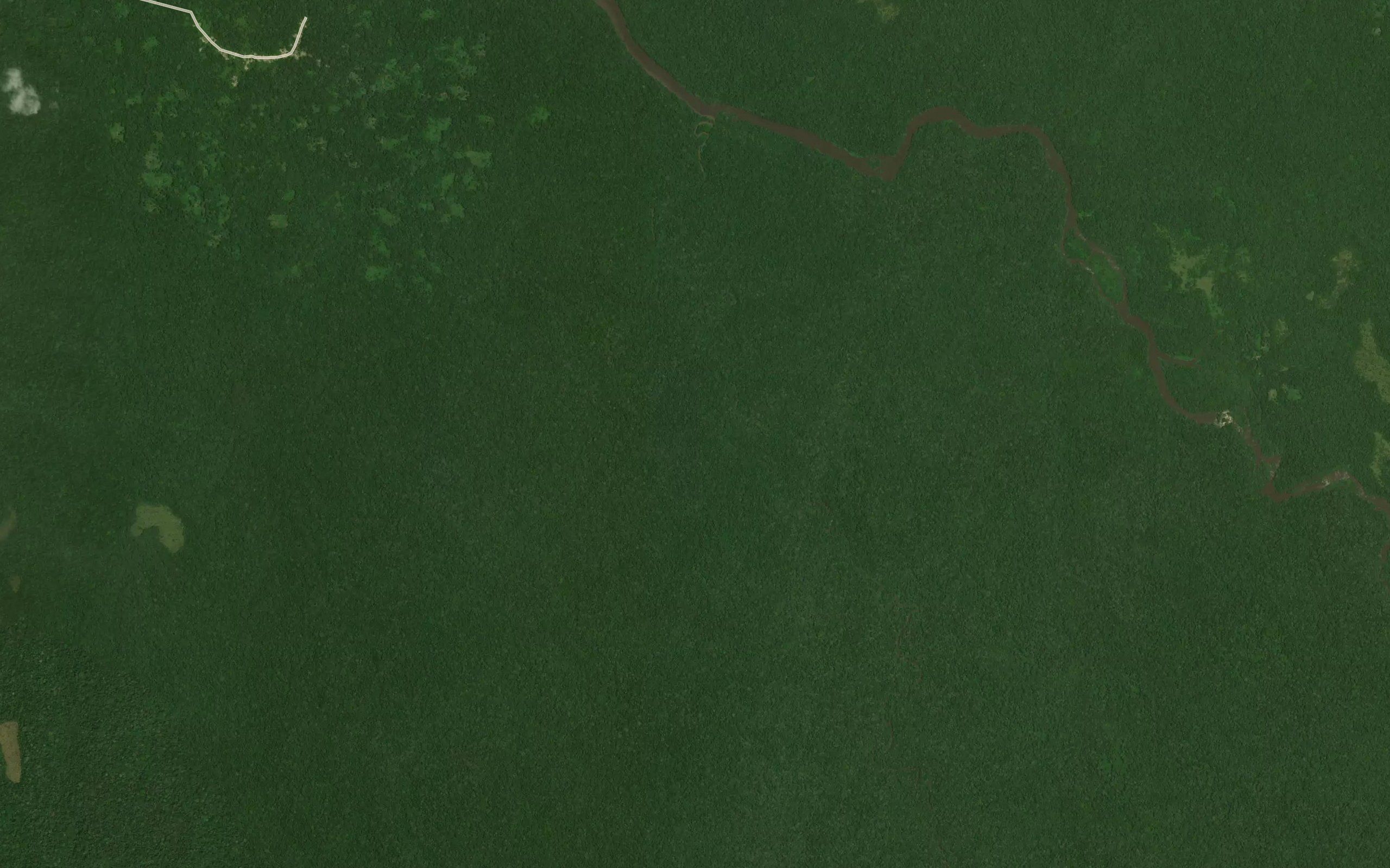Negamba