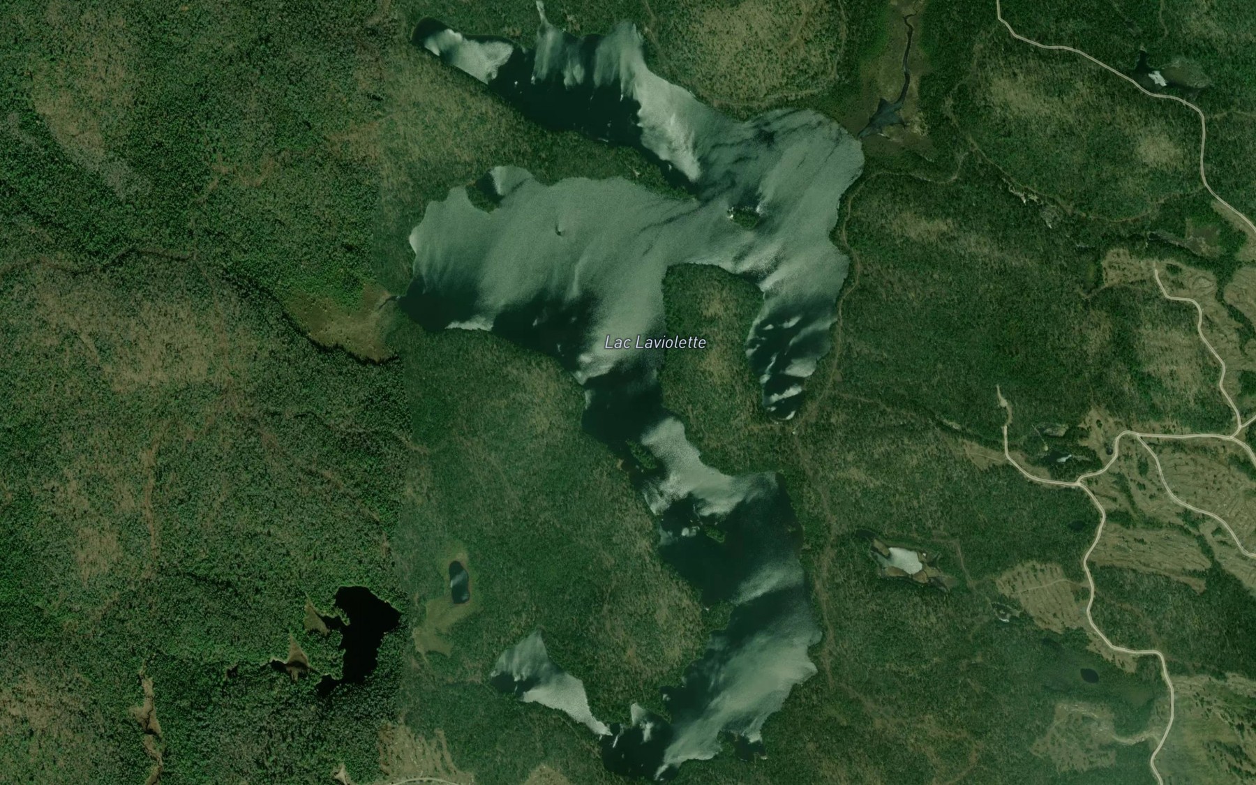 Satellite map of the Lac Laviolette
