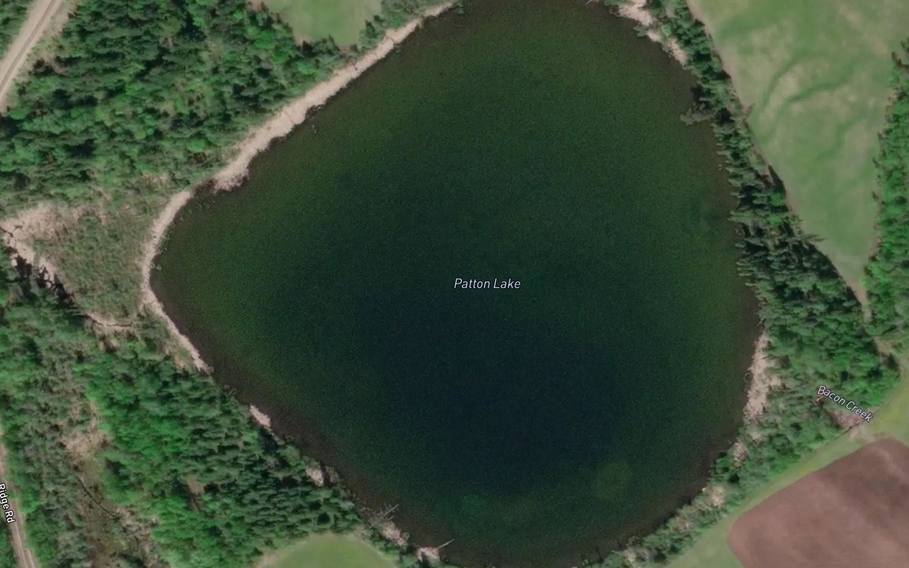 Satellite map of the Patton Lake