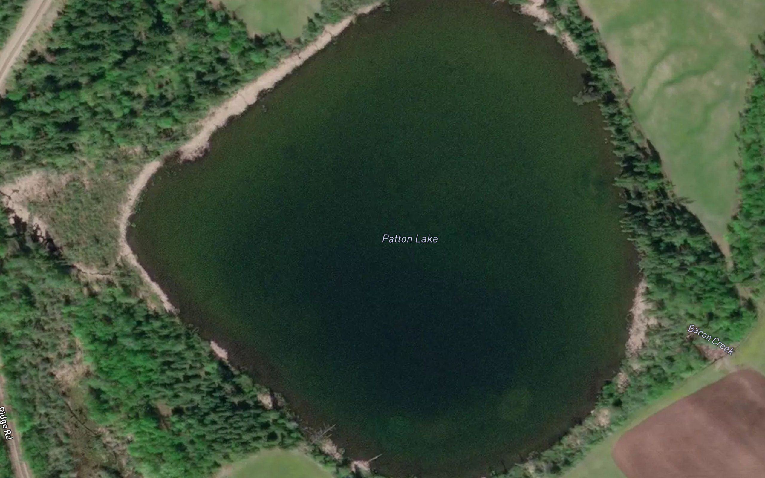 Patton Lake