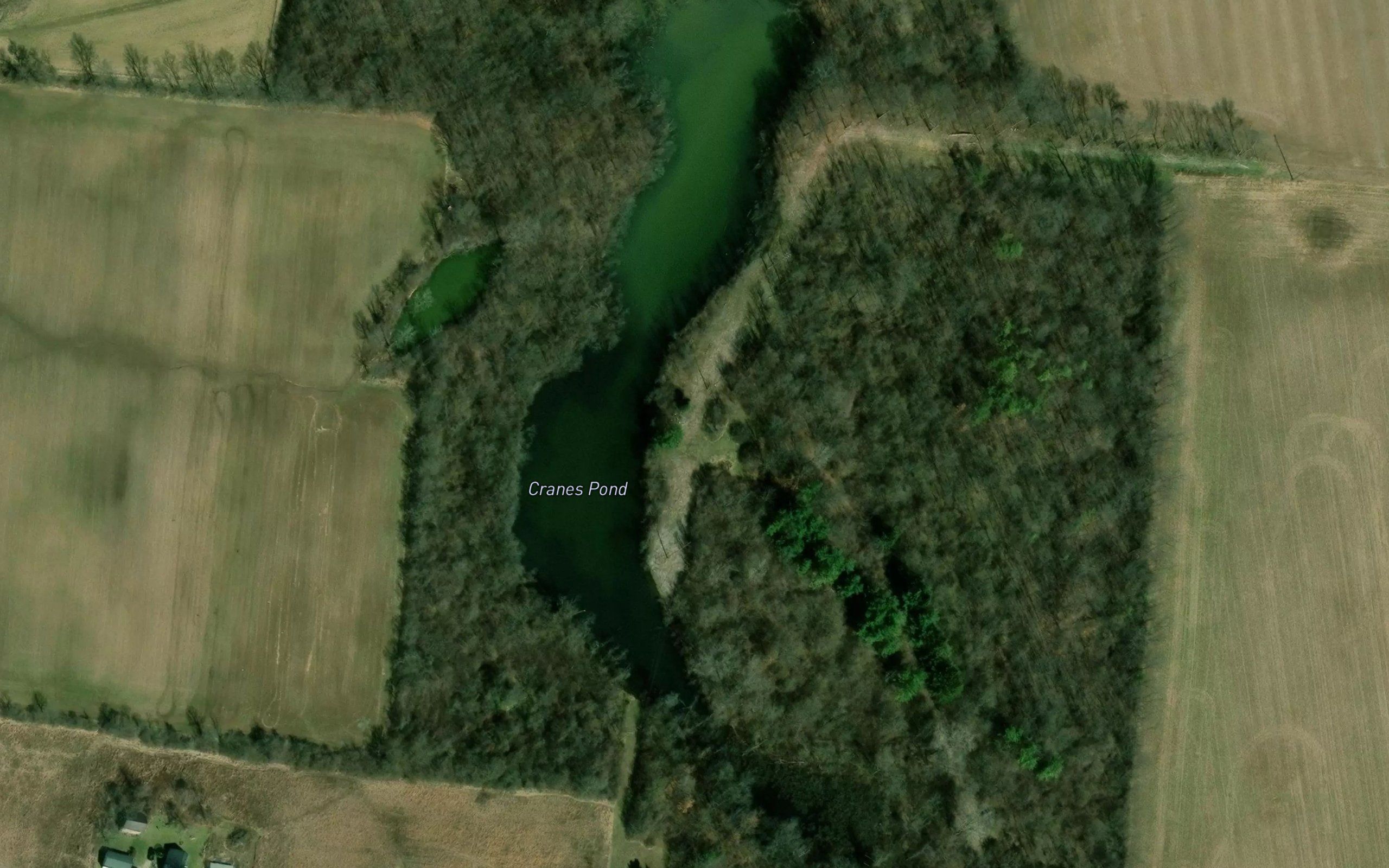 Cranes Pond
