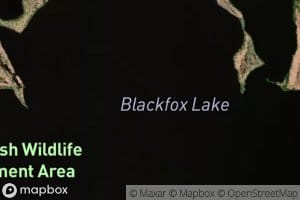 Blackfox Lake