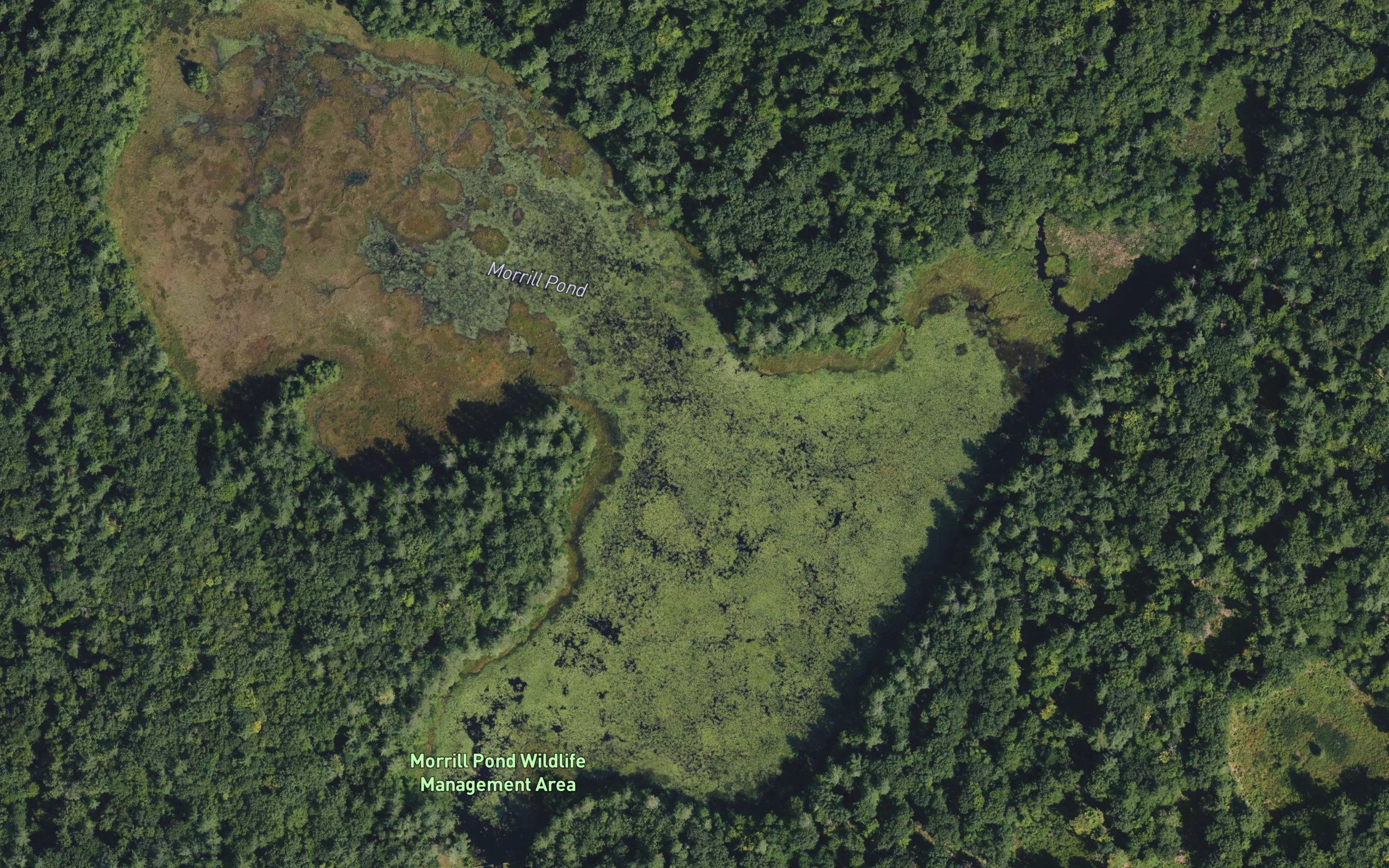 Morrill Pond