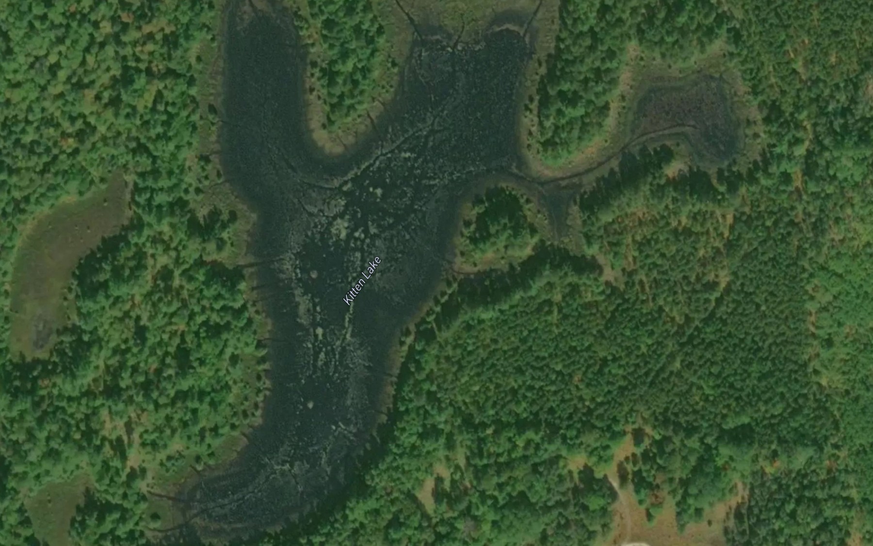 Satellite map of the Kitten Lake