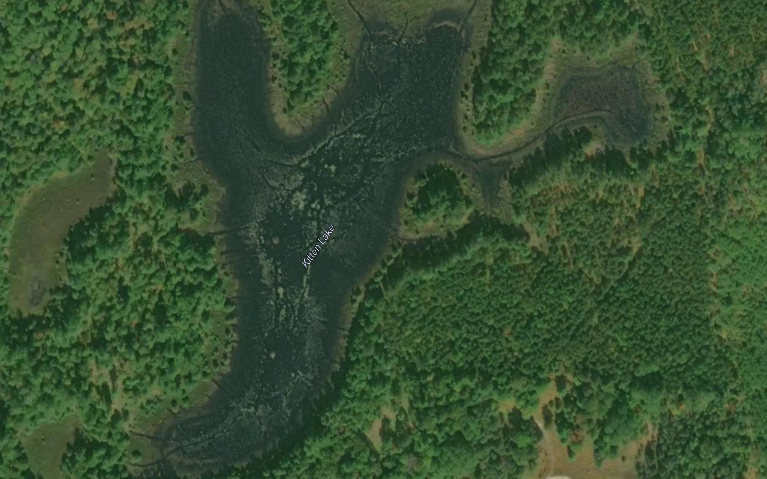 Kitten Lake
