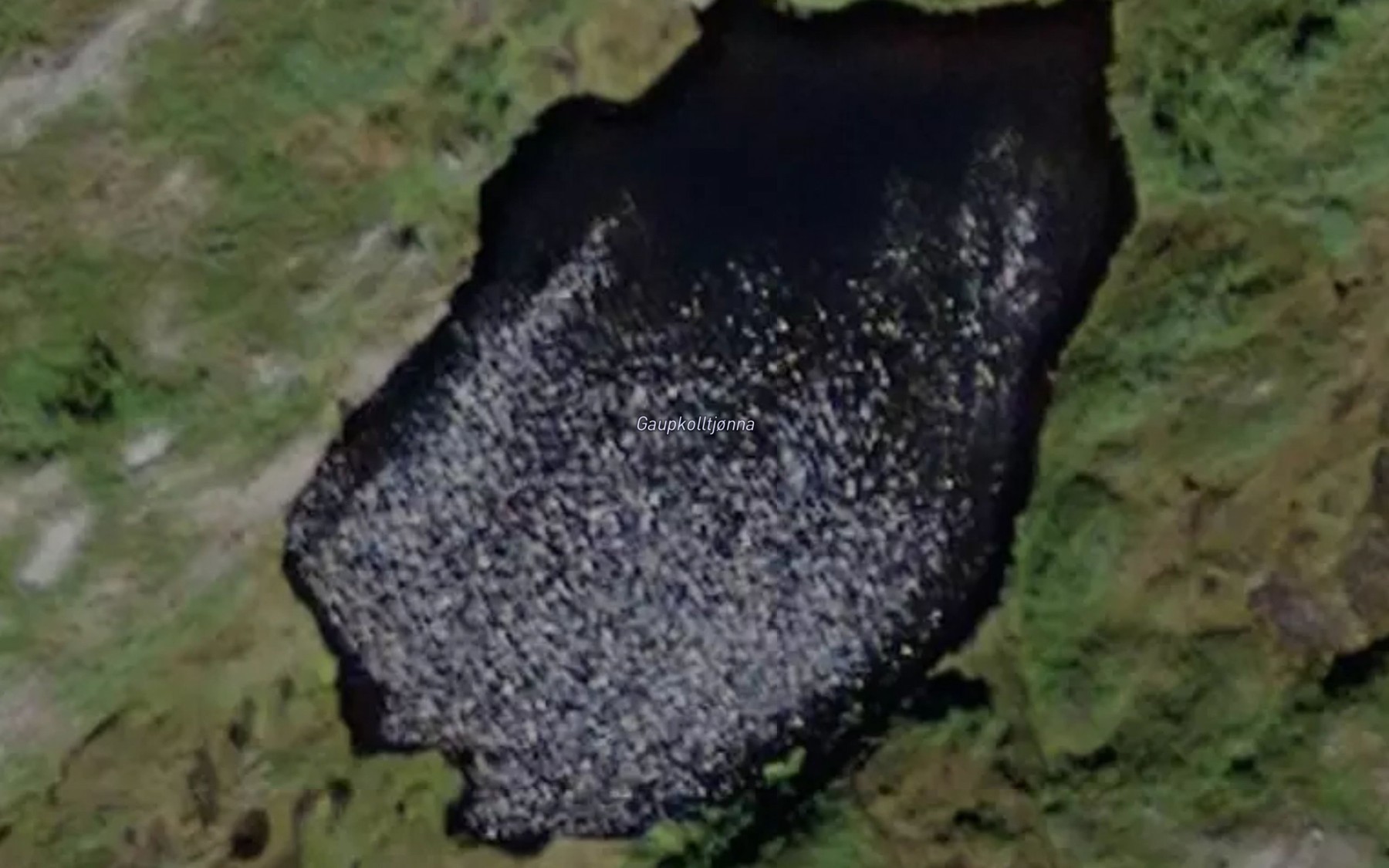 Satellite map of the Gaupkolltjorna