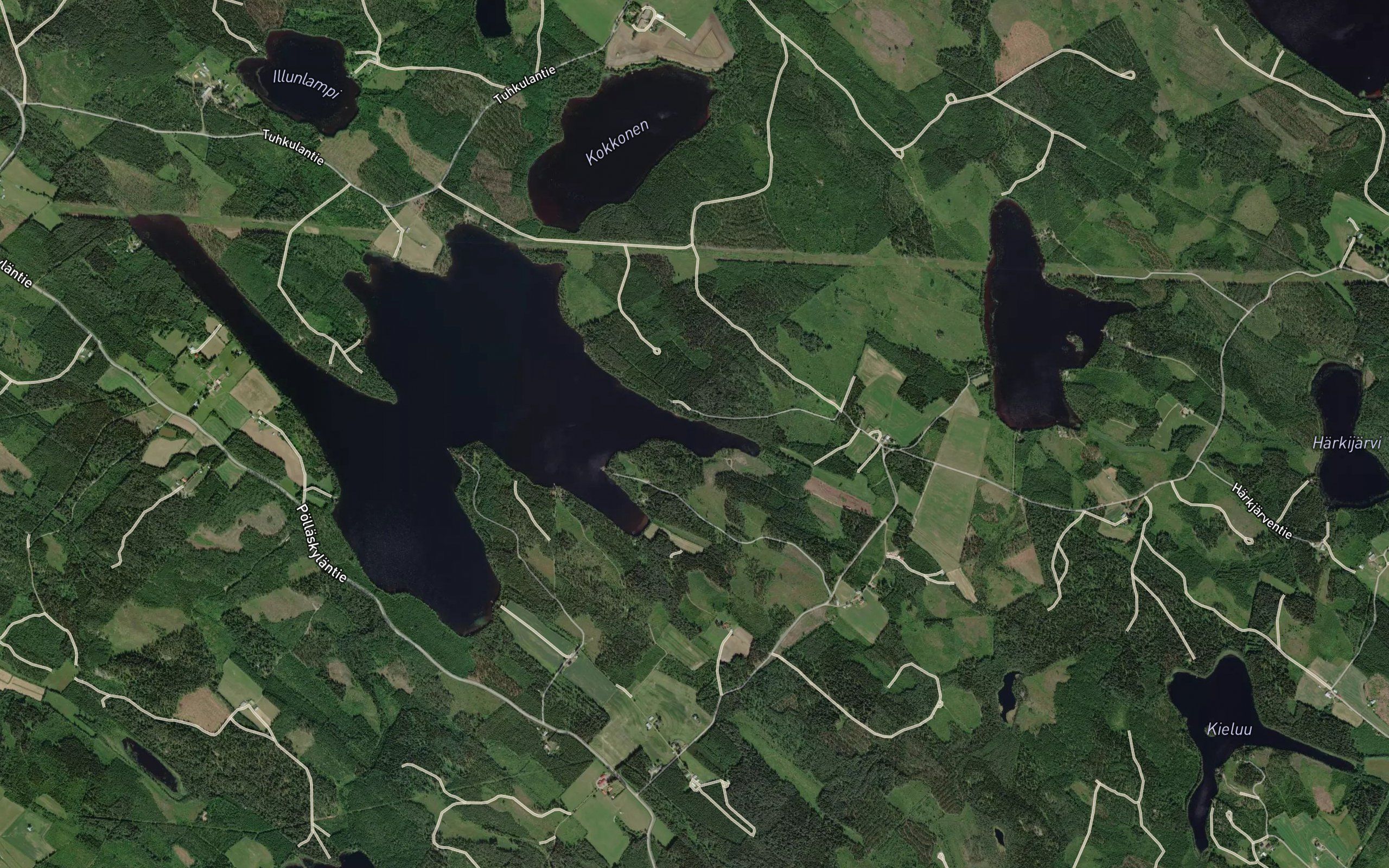 Hirvilahti