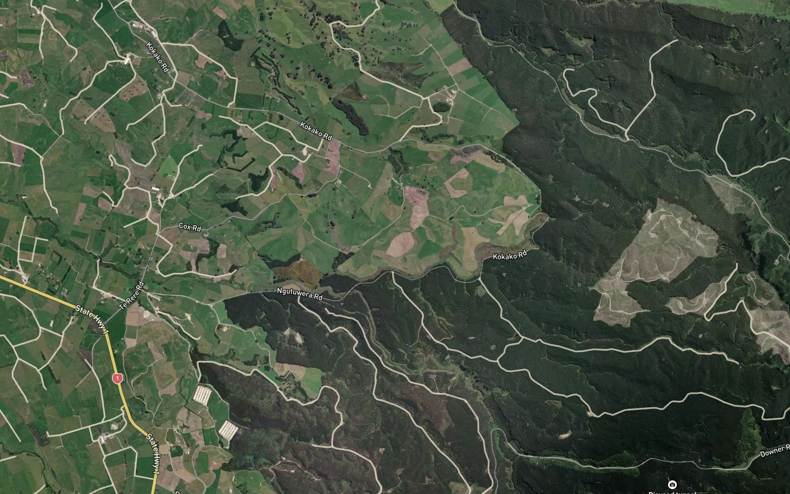 Ngutuwera Stream