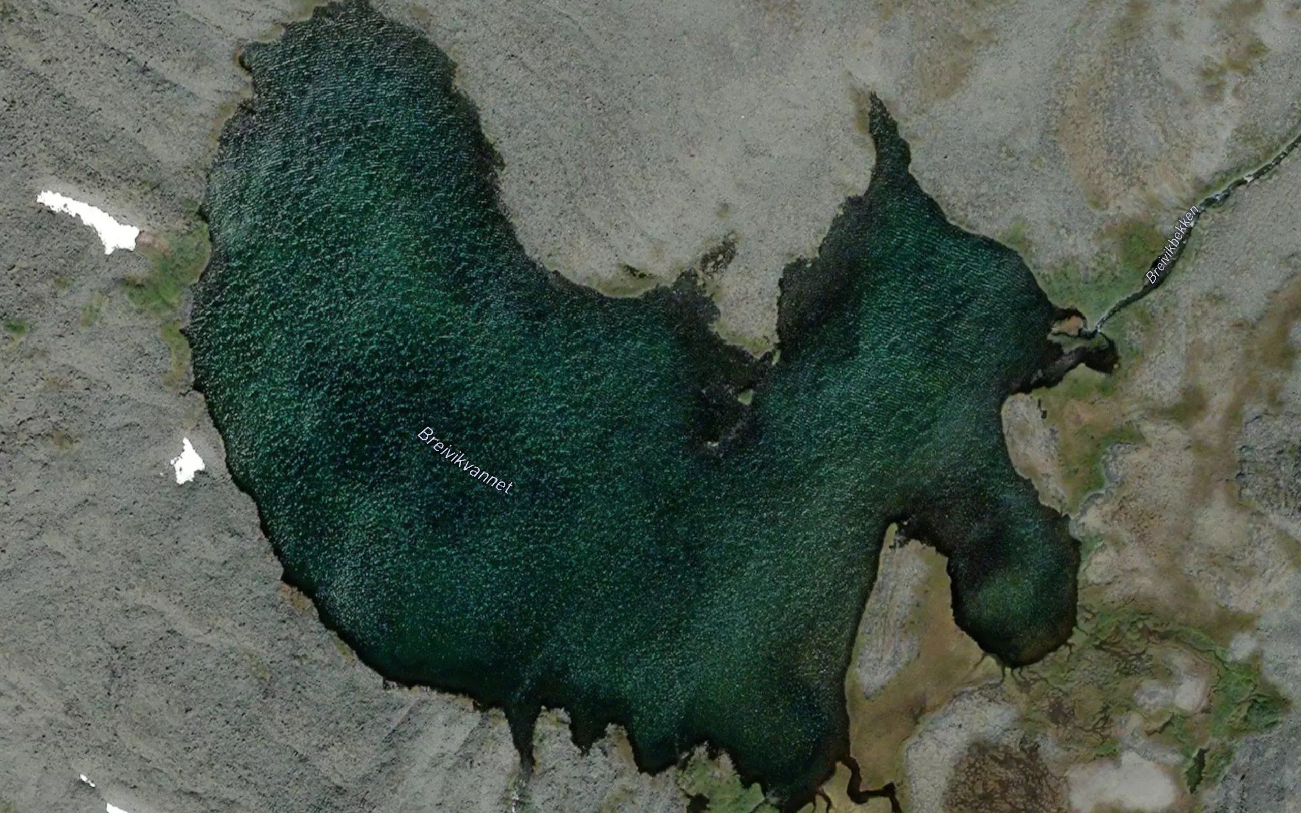 Breidvikvatnet