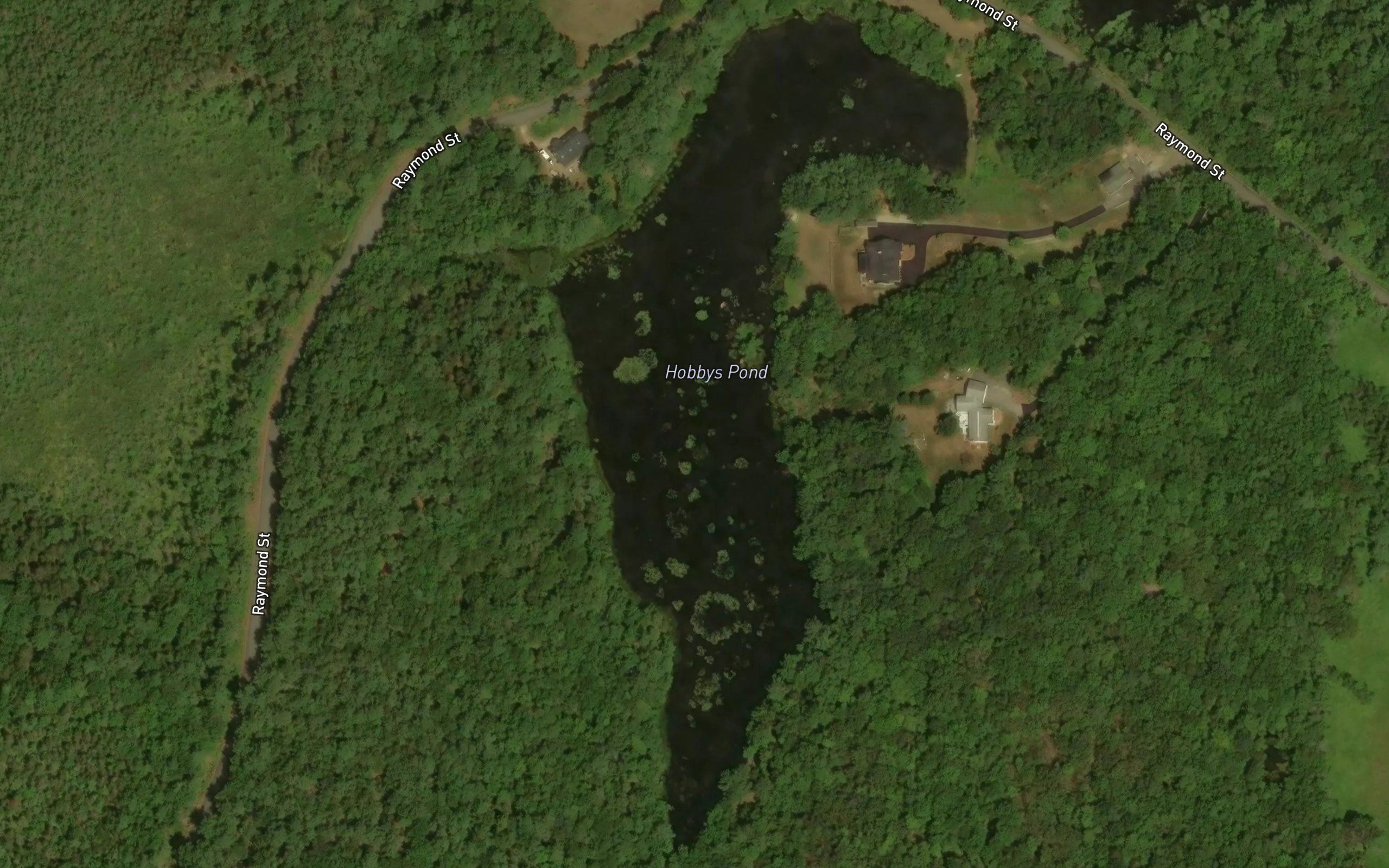 Hobbys Pond