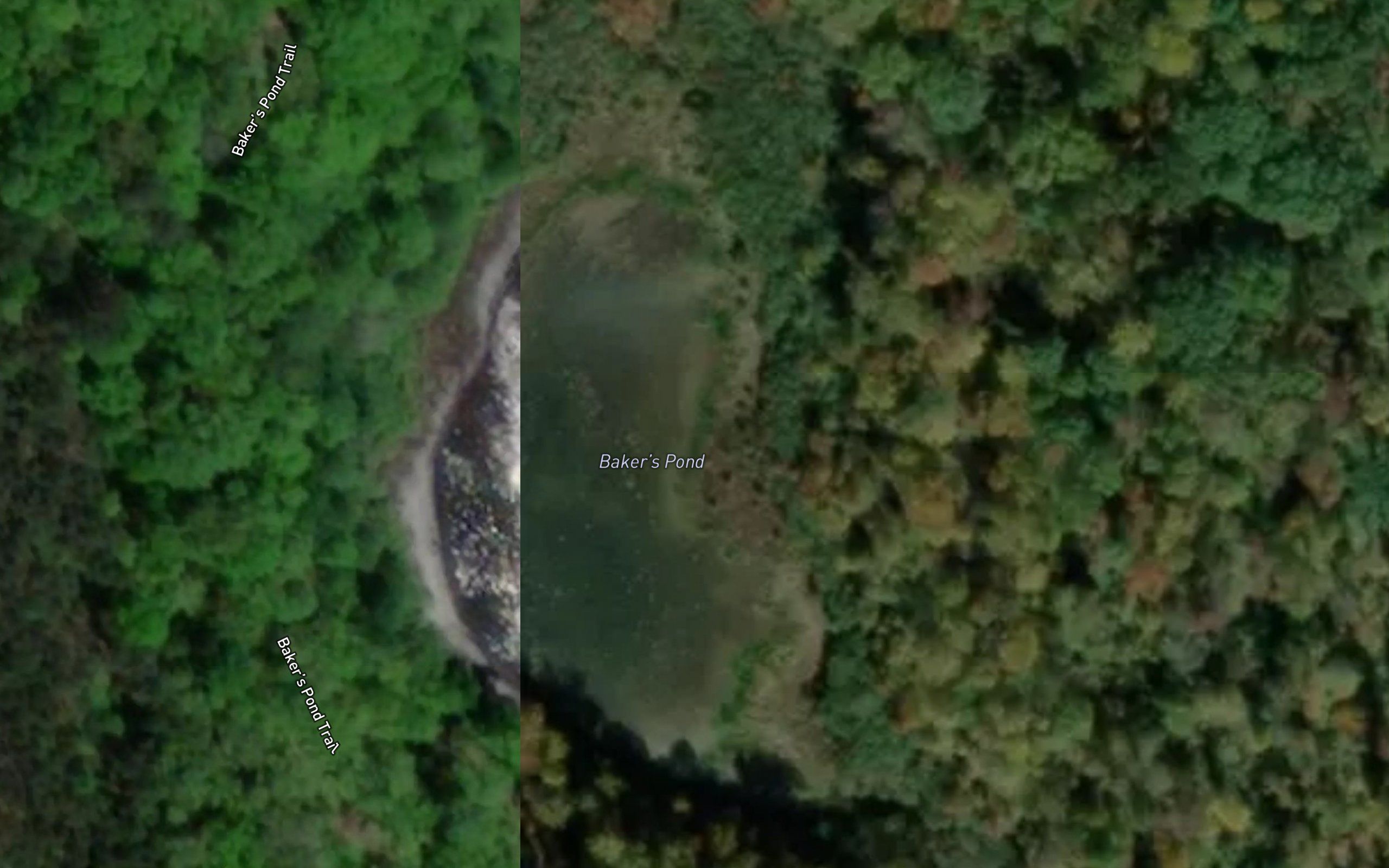 Bakers Pond