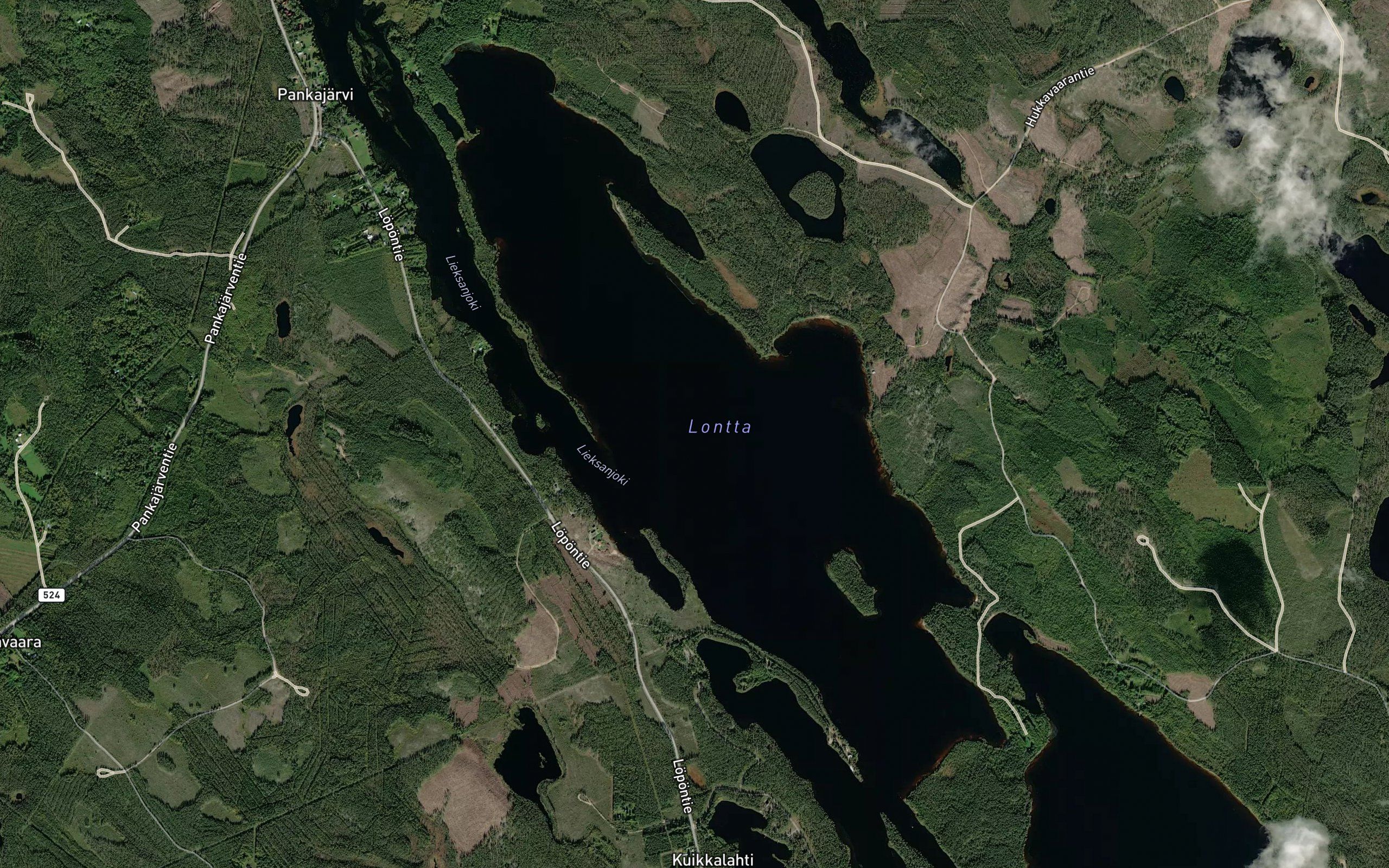 Lontta