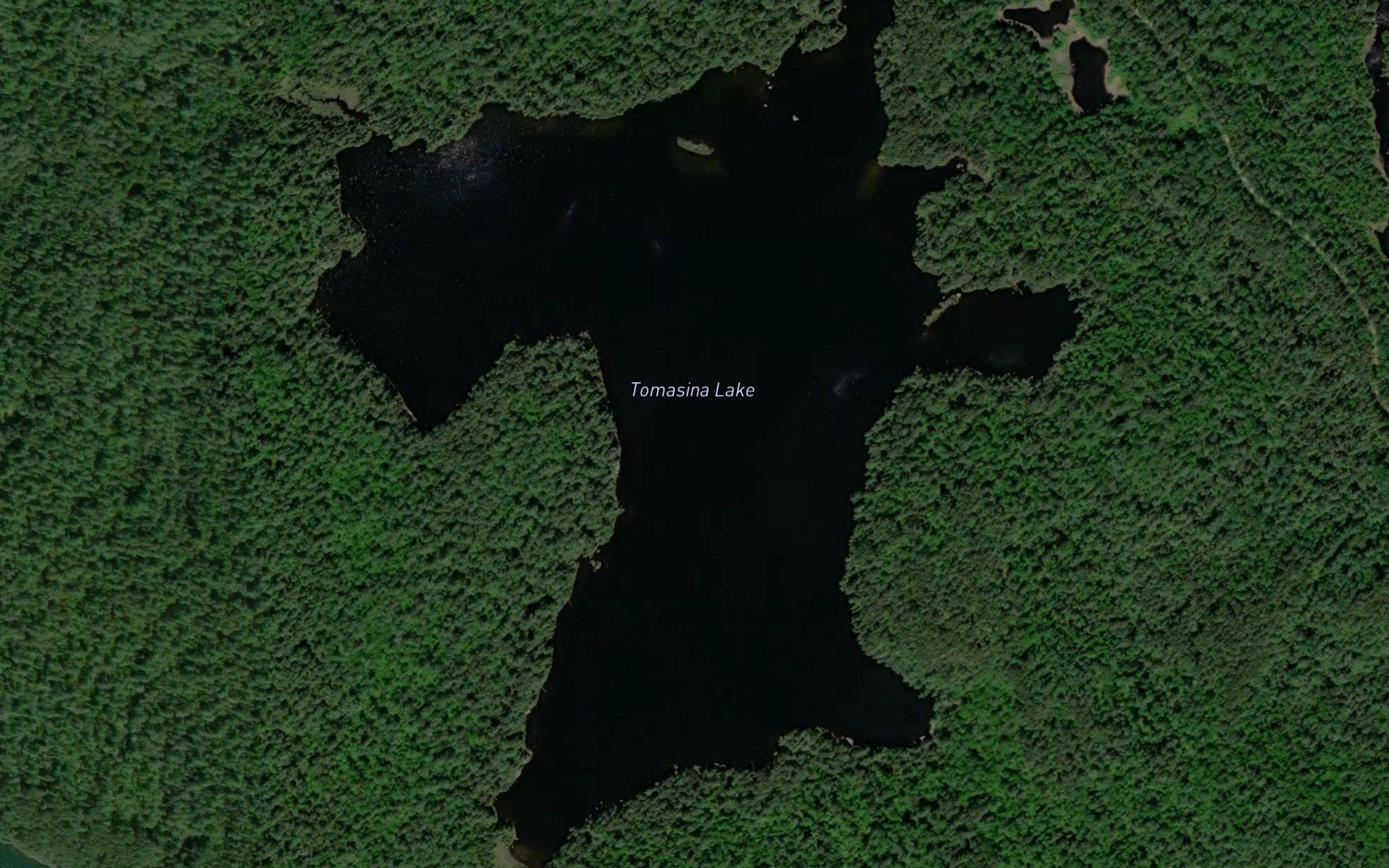 Tomasina Lake