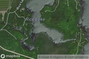Rice Lake