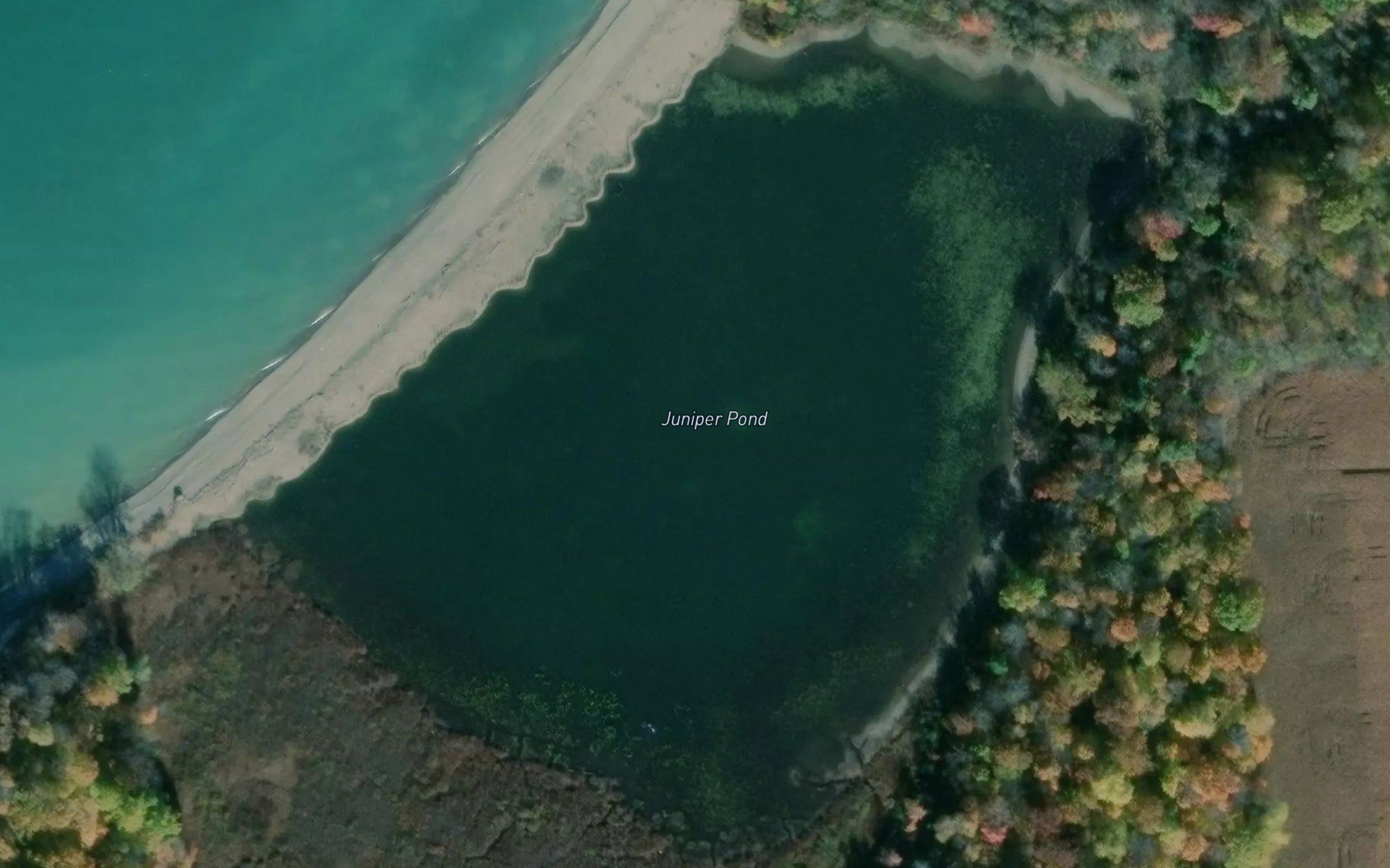 Juniper Pond