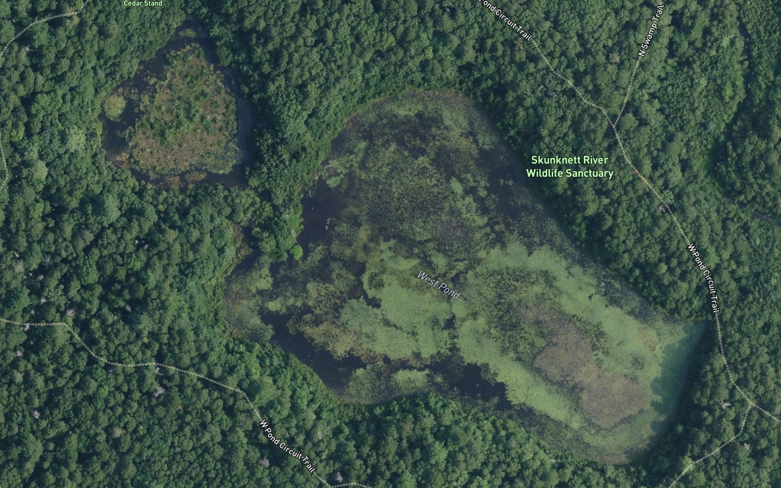 West Pond