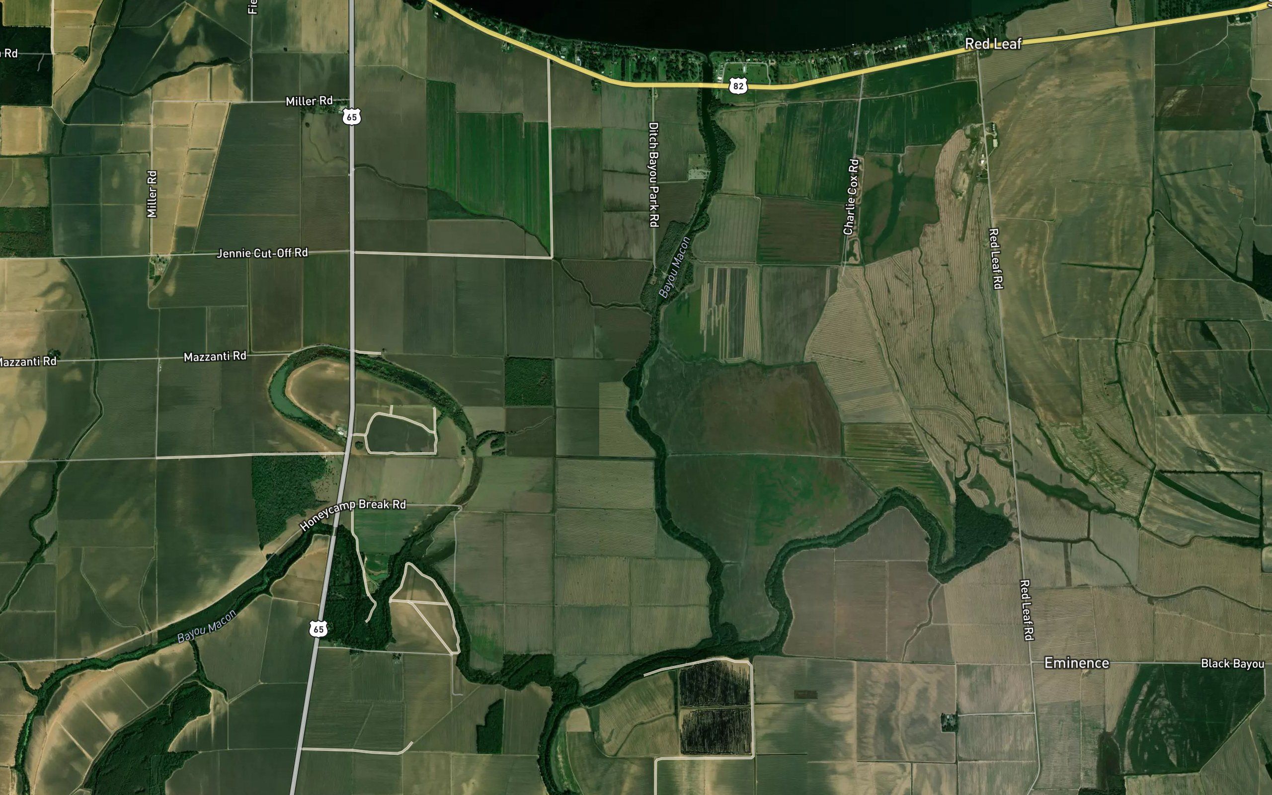 Ditch Bayou