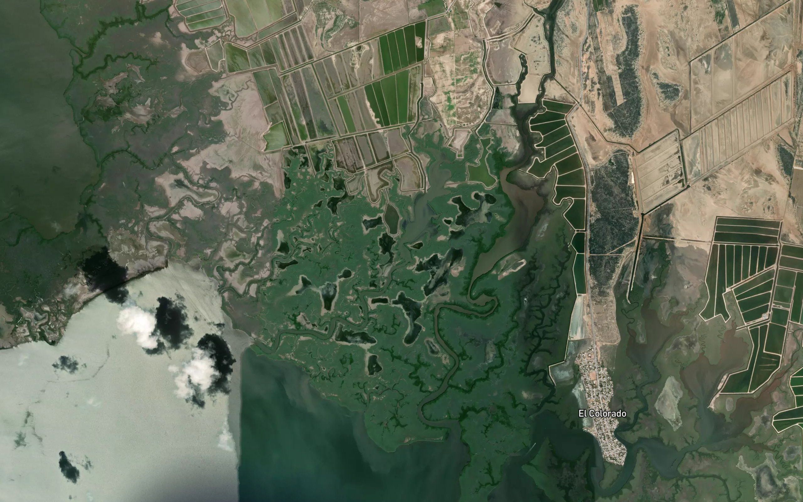 Estero Huituaca