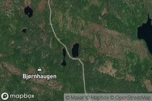 Brasmedalstjerna