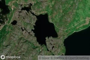 Morntjonna