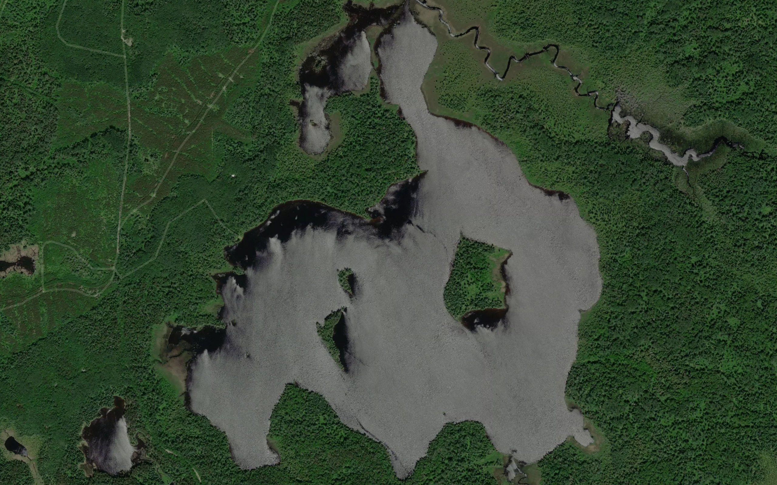 Mallard Lake