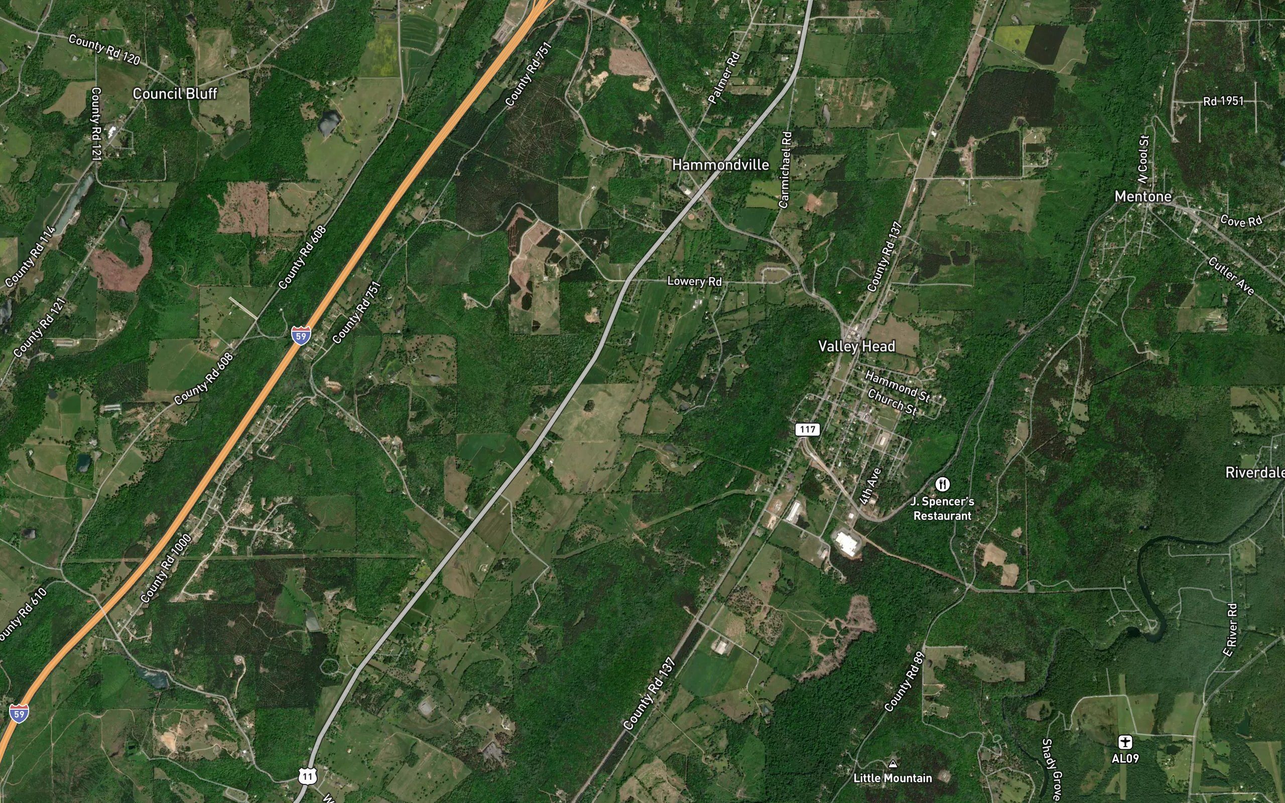Hammondville Branch