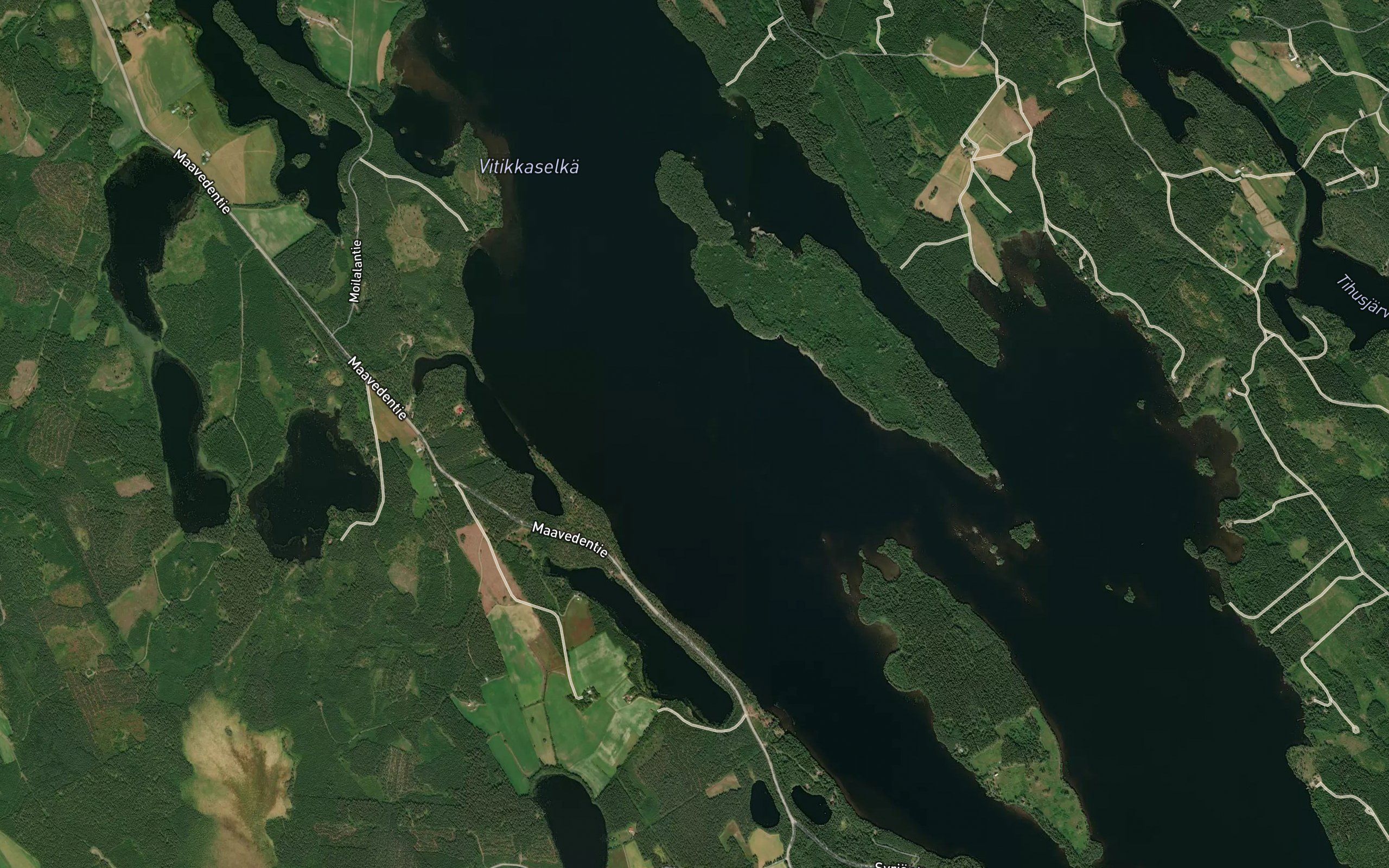 Juurikkaselka