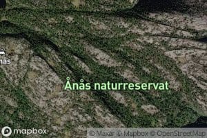 Hovrebekken