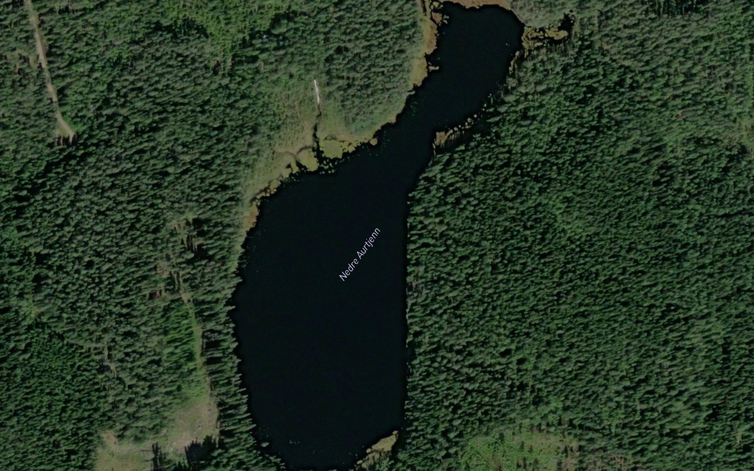 Aurtjern,nedre