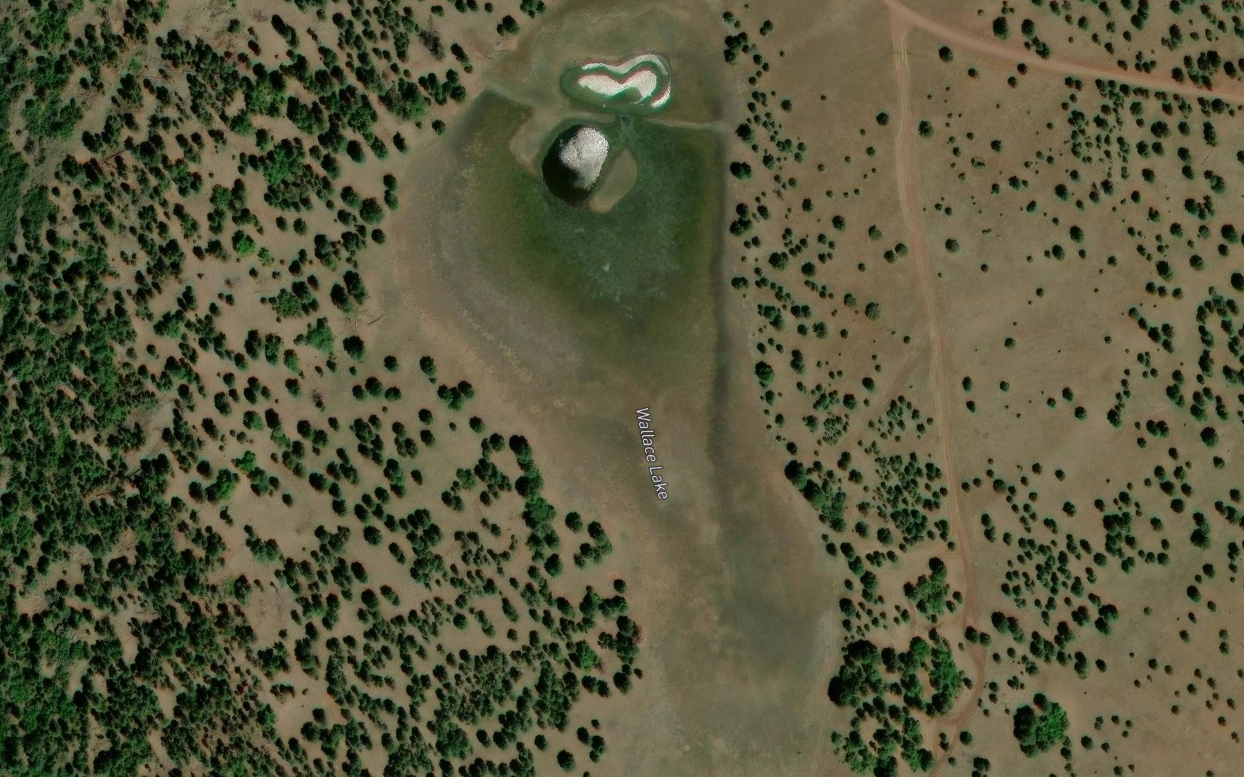 Satellite map of the Wallace Lake