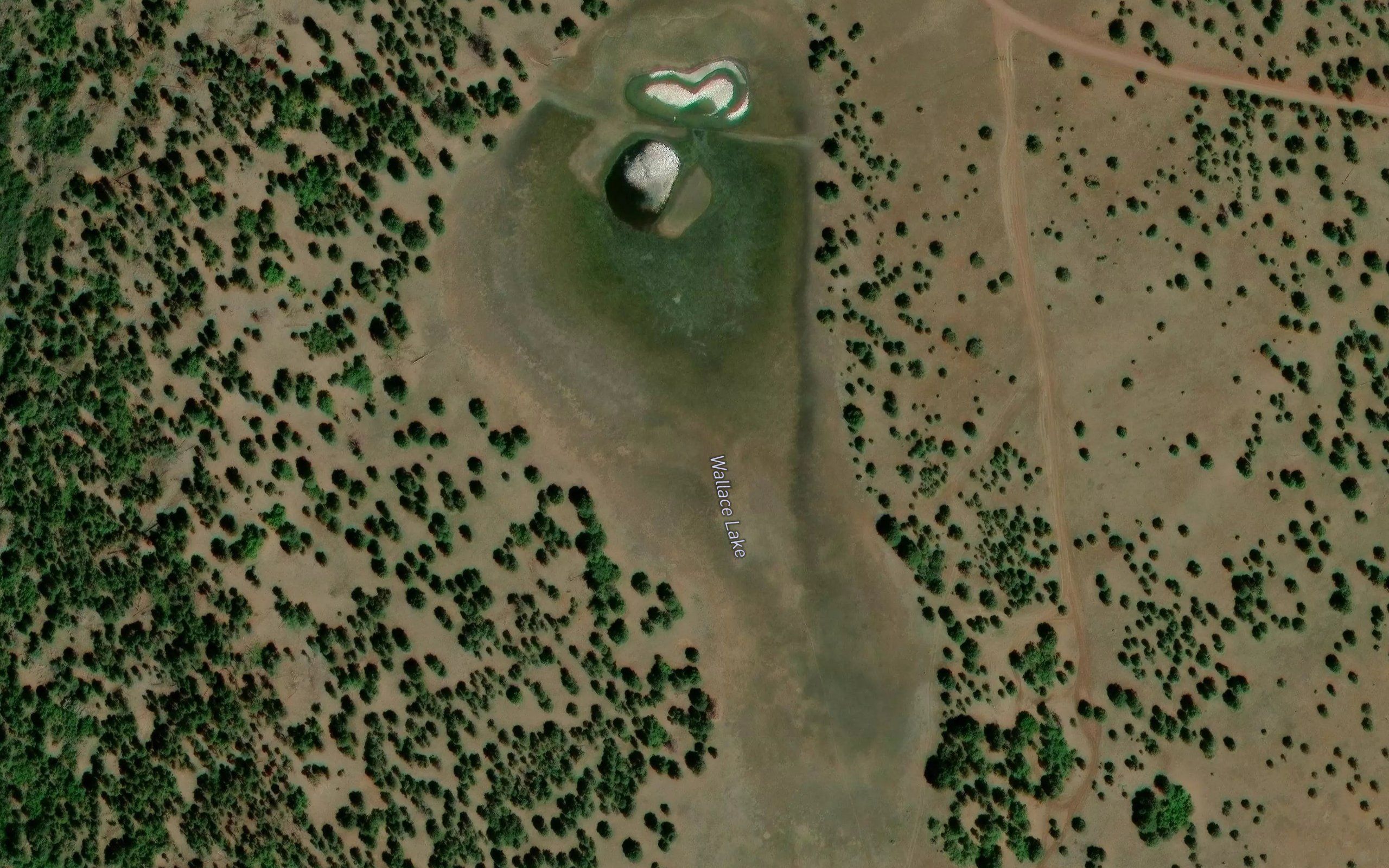 Wallace Lake