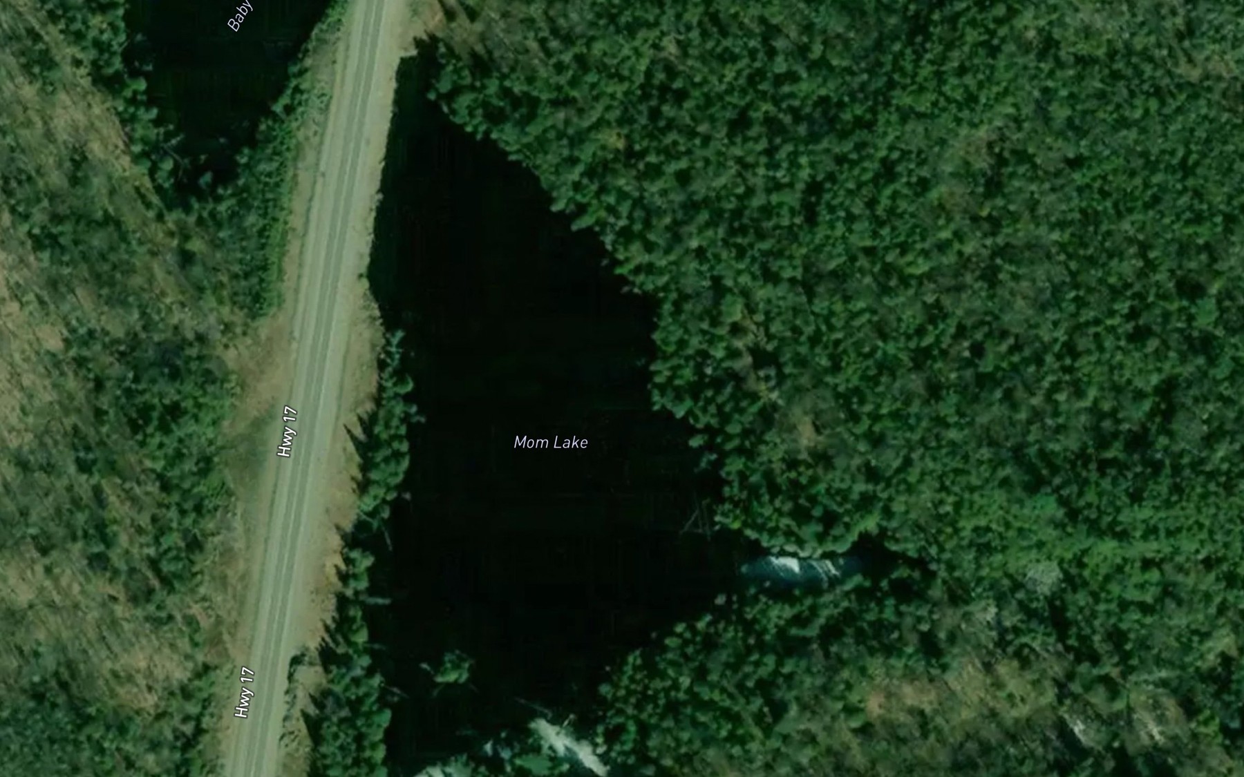 Satellite map of the Mom Lake